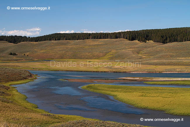 261 Yellowstone river IMG 0355 (2)